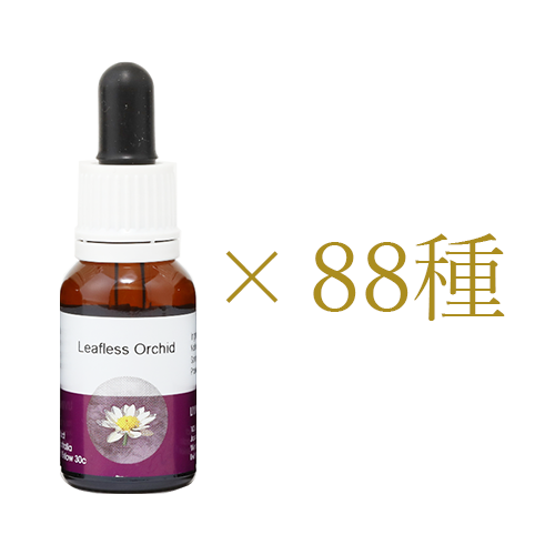 ワーキングストックボトルエッセンス