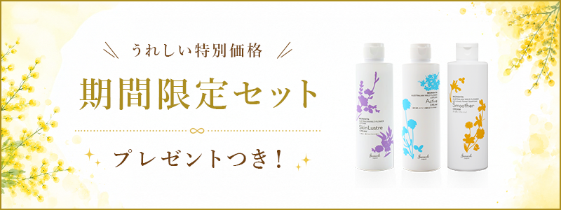 期間限定セット
